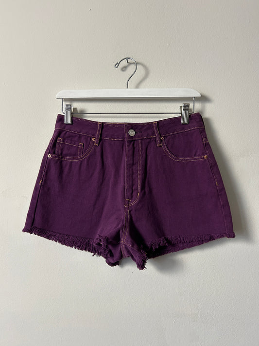 Pacsun Purple Raw Hem Jean Shorts - 27